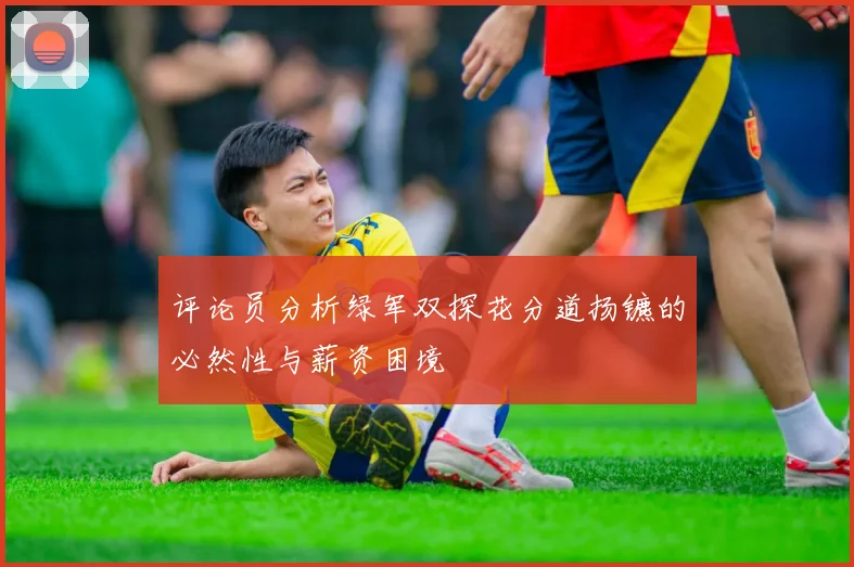 评论员分析绿军双探花分道扬镳的必然性与薪资困境