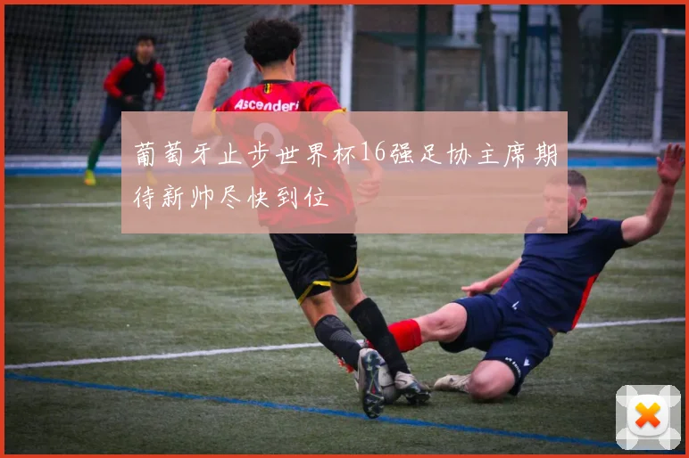 葡萄牙止步世界杯16强足协主席期待新帅尽快到位