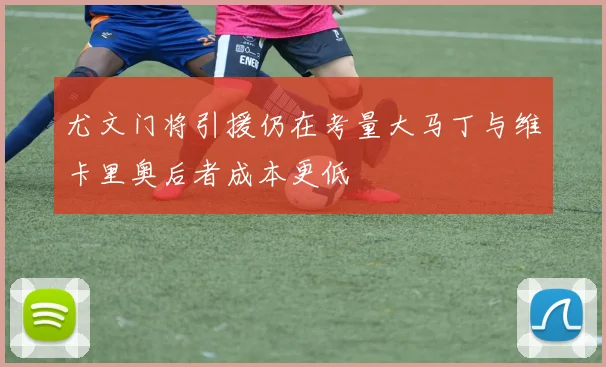 尤文门将引援仍在考量大马丁与维卡里奥后者成本更低